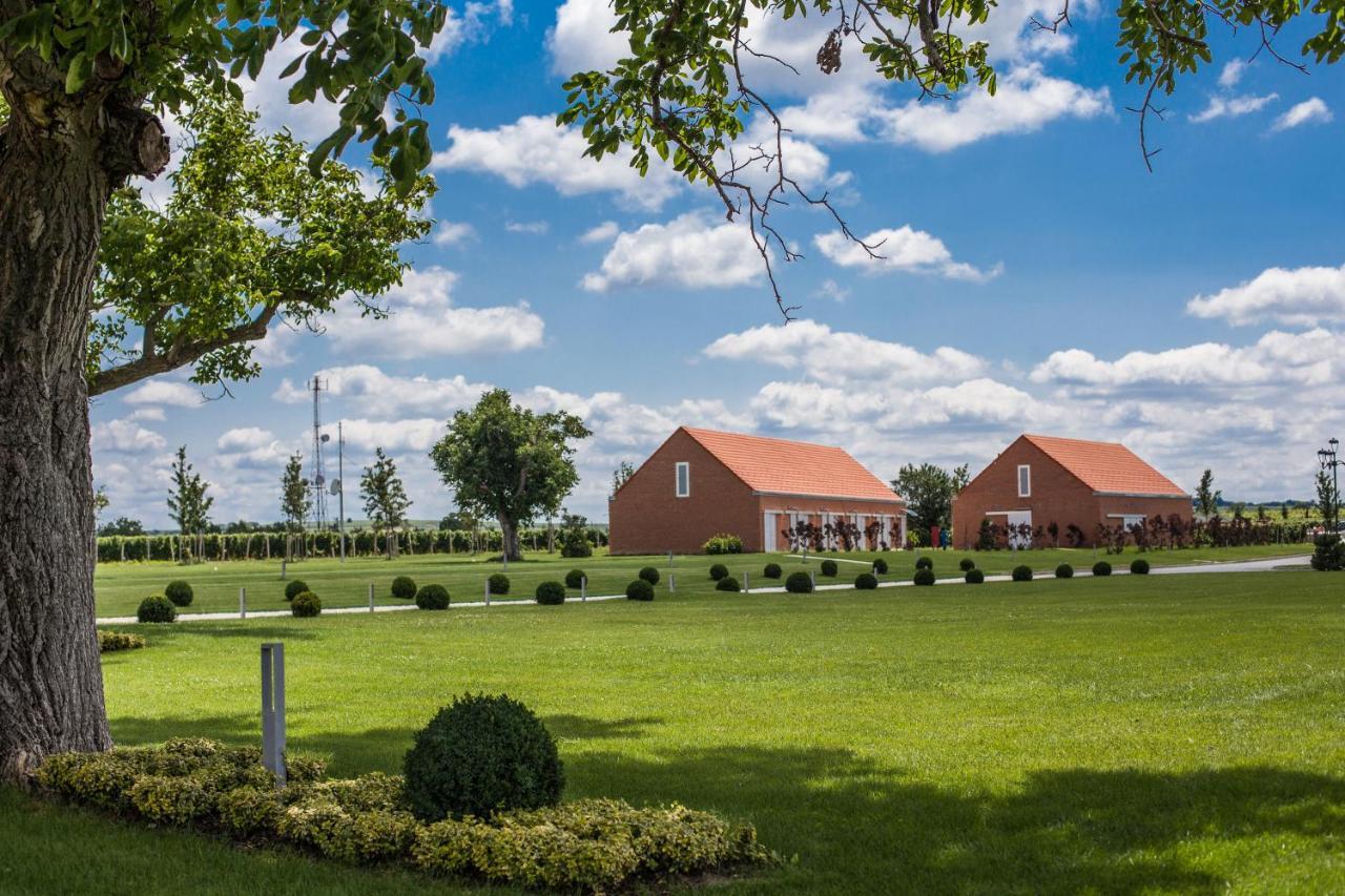 Bed and Breakfast Ladanjsko Imanje Principovac Ilok Zewnętrze zdjęcie