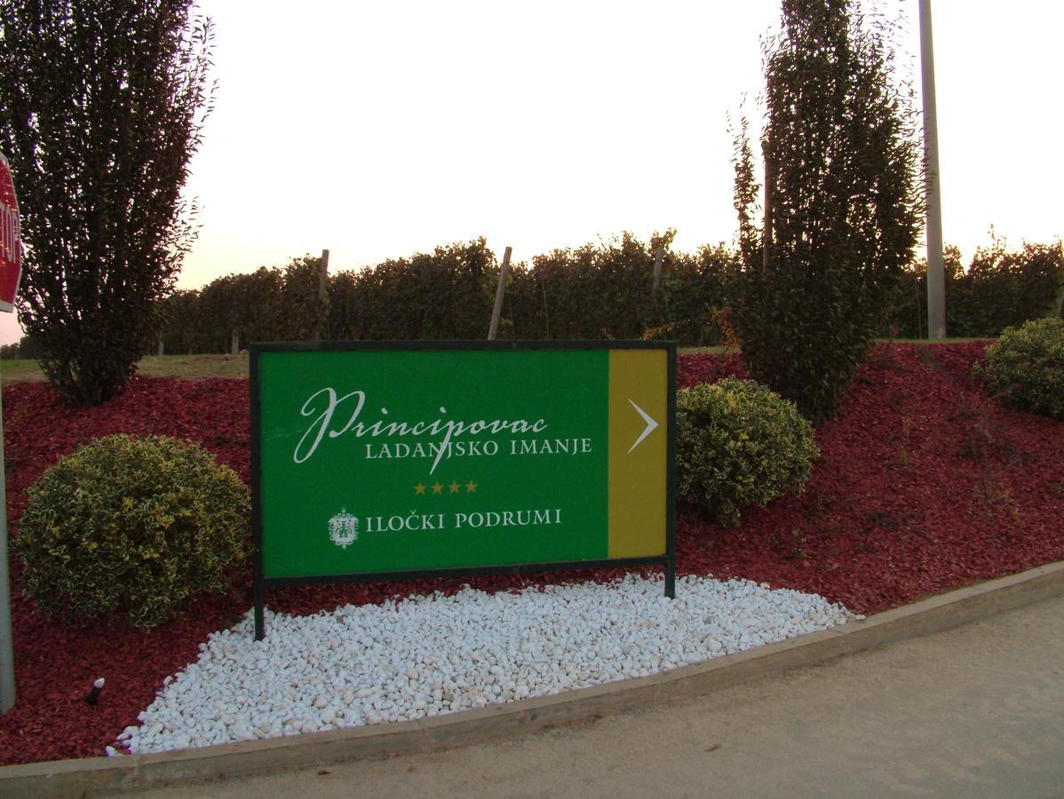 Bed and Breakfast Ladanjsko Imanje Principovac Ilok Zewnętrze zdjęcie
